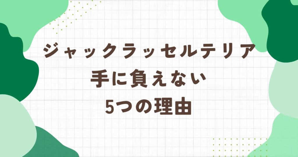 ジャックラッセルテリアが手に負えない5つの理由！落ち着く年齢も解説