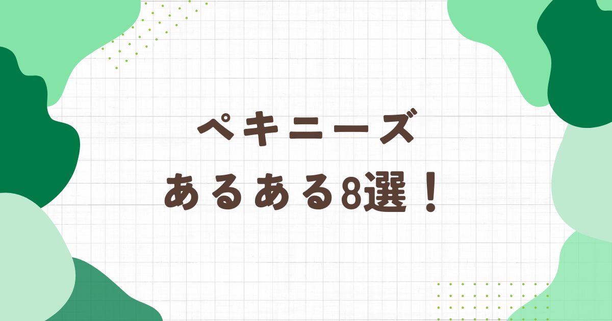 ペキニーズあるある8選！ペキニーズの特徴や性格を解説