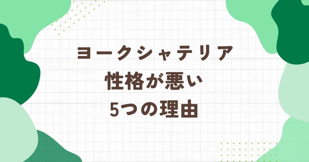 ヨークシャテリアは性格が悪いと言われる5つの理由！気性が荒くて狂暴化する？