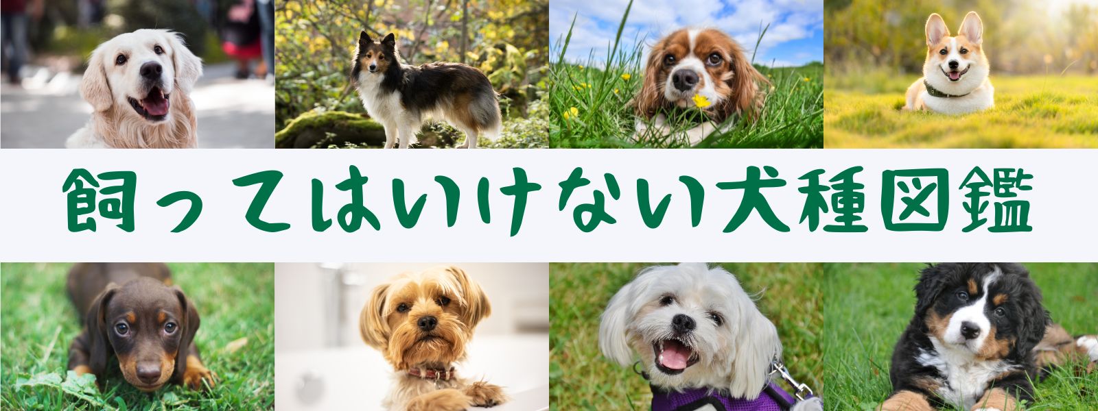 飼っ て は いけない 犬 ランキング
